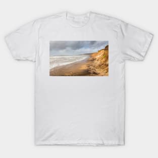 Compton Bay in Stormy Weather T-Shirt